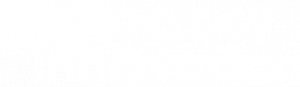 Democracy Innovation