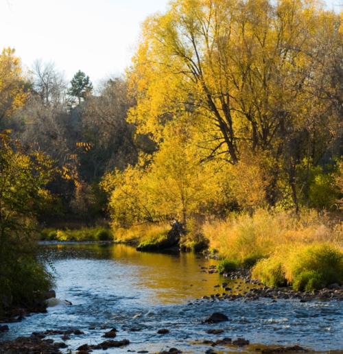 19.  Wheat Ridge Greenbelt
