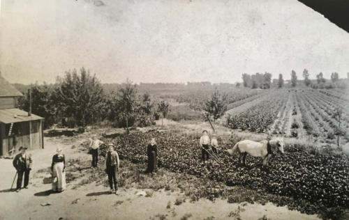 2. Historic Farming Wheat Ridge ApelBatcherFarm