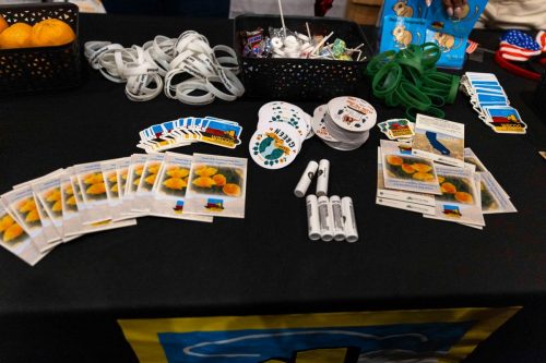 AAC 2025: Civic Action Fair