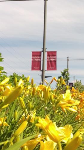 Black Lives Matter Banners