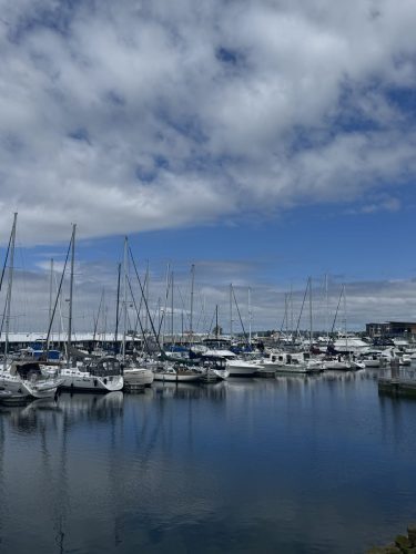 Everett-Waterfront