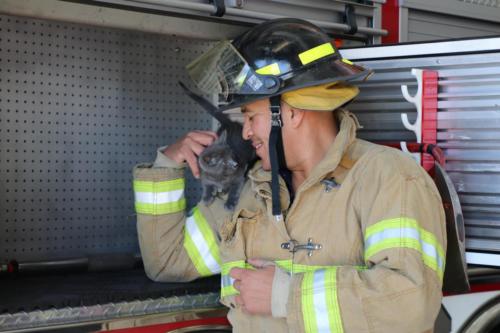 El Paso firefighter poses with a foster cat to promote adoptions.