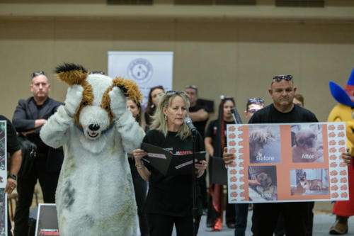 Mission Presentation4