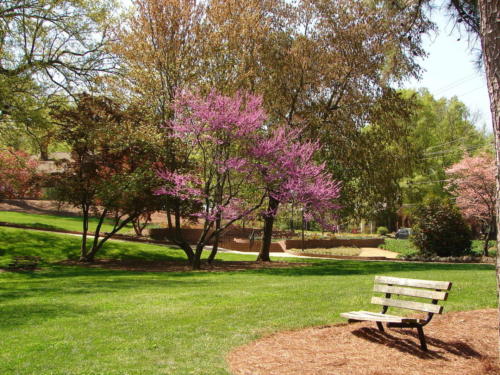 STOCK 1280px-Glencairn Gardens Rock Hill SC